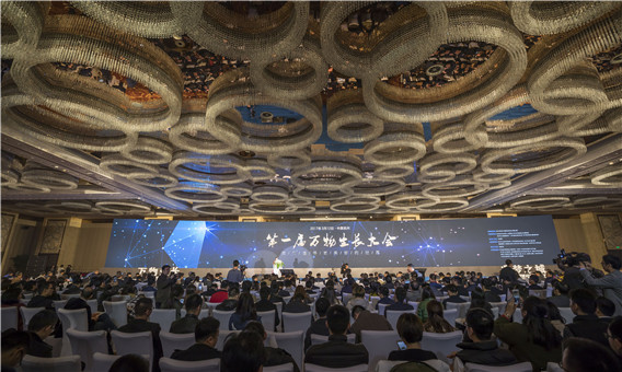 1489383729555600.jpg 16489267308621497.jpg