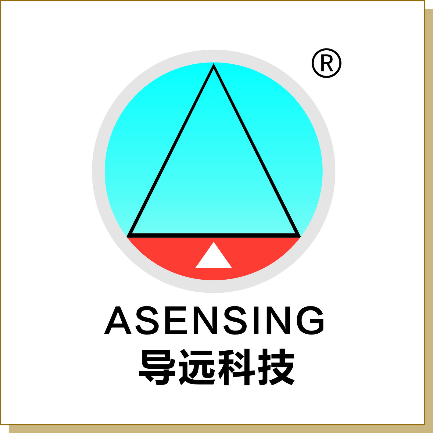 導(dǎo)遠(yuǎn)科技